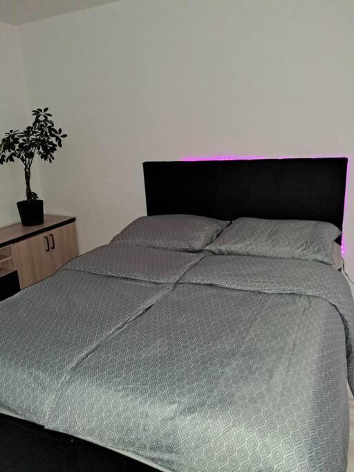 Apartament Na 4 Pietrze Новы-Тарг Экстерьер фото