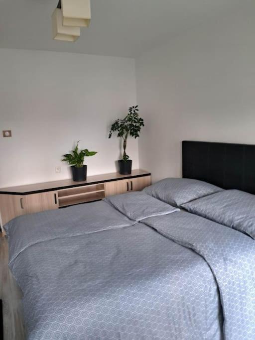 Apartament Na 4 Pietrze Новы-Тарг Экстерьер фото